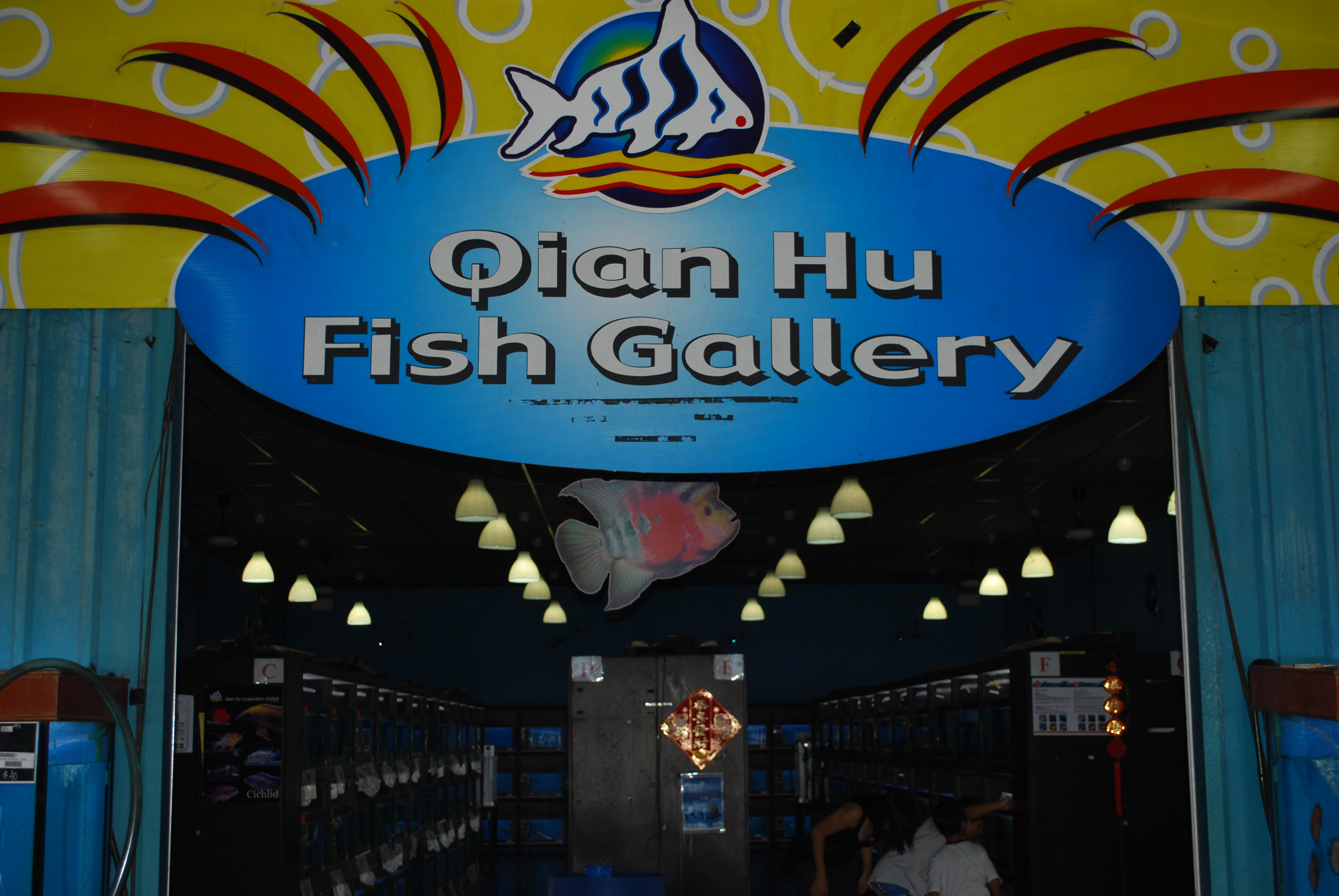 fish_gallery_l.jpg